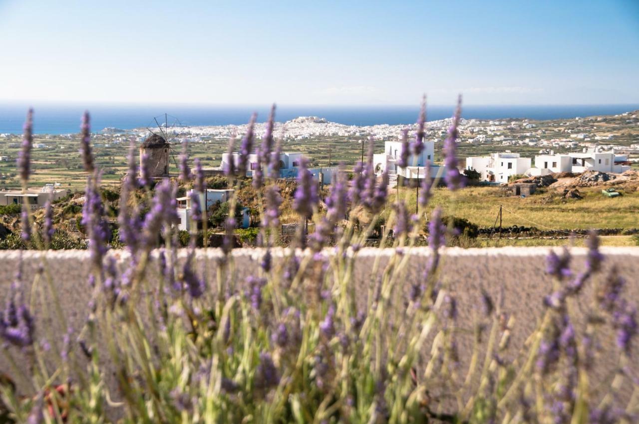 Naxos View Apartment Glinado Naxos ภายนอก รูปภาพ